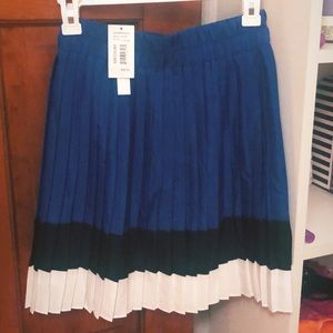 NWT Aqua Pleated Skirt